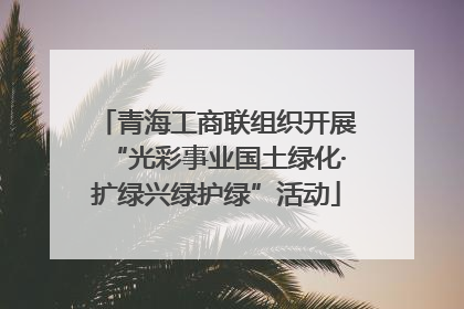 青海工商联组织开展“光彩事业国土绿化·扩绿兴绿护绿”活动