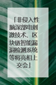 非侵入性脑深部电刺激技术、区块链智能漏洞检测系统等将亮相上交会