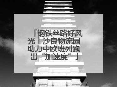 钢铁丝路好风光丨沙良物流园助力中欧班列跑出“加速度”