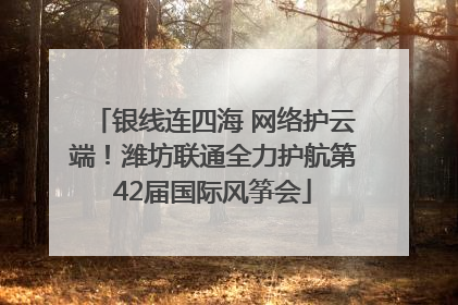 银线连四海 网络护云端！潍坊联通全力护航第42届国际风筝会