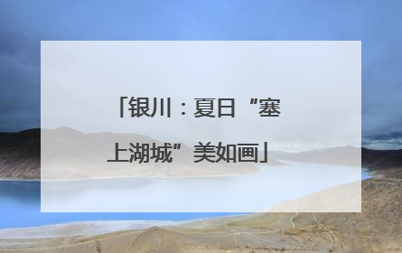 银川：夏日“塞上湖城”美如画