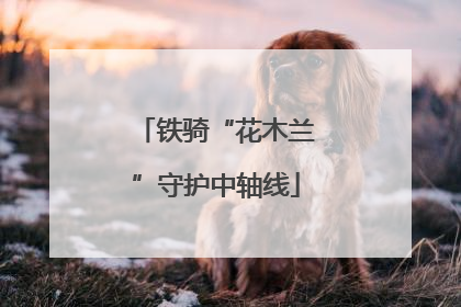 铁骑“花木兰”守护中轴线