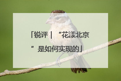 锐评｜“花漾北京”是如何实现的