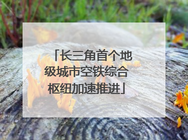 长三角首个地级城市空铁综合枢纽加速推进