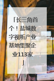 长三角首个！盐城数字视听产业基地集聚企业113家