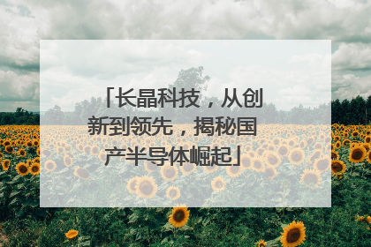 长晶科技，从创新到领先，揭秘国产半导体崛起