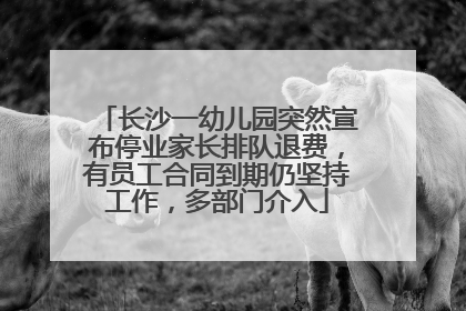 长沙一幼儿园突然宣布停业家长排队退费，有员工合同到期仍坚持工作，多部门介入