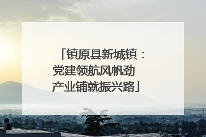 镇原县新城镇：党建领航风帆劲 产业铺就振兴路