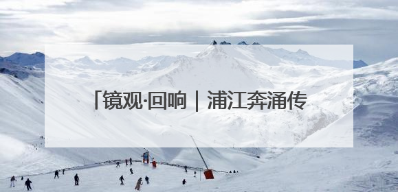 镜观·回响｜浦江奔涌传薪火 海派融新纳百川