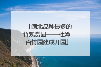 闽北品种最多的竹观赏园——杜潭百竹园建成开园