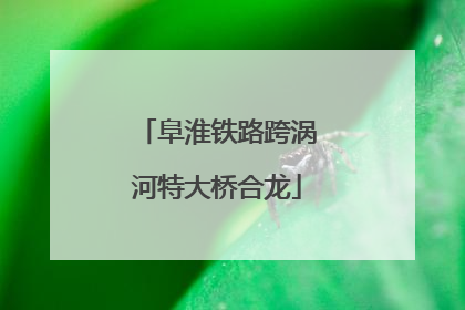 阜淮铁路跨涡河特大桥合龙