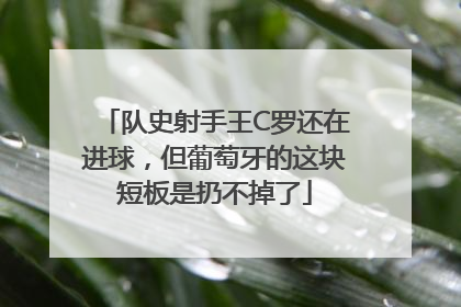 队史射手王C罗还在进球，但葡萄牙的这块短板是扔不掉了