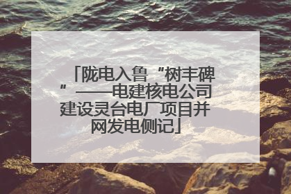 陇电入鲁“树丰碑”——电建核电公司建设灵台电厂项目并网发电侧记