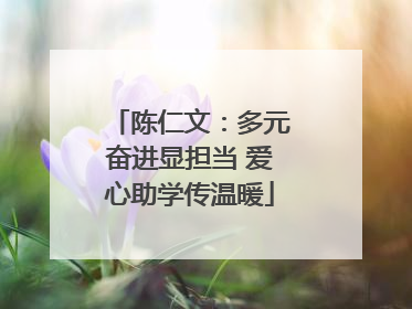 陈仁文：多元奋进显担当 爱心助学传温暖