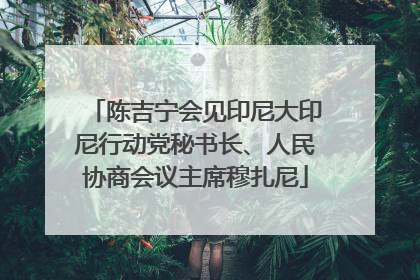 陈吉宁会见印尼大印尼行动党秘书长、人民协商会议主席穆扎尼