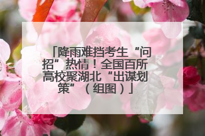 降雨难挡考生“问招”热情！全国百所高校聚湖北“出谋划策”（组图）