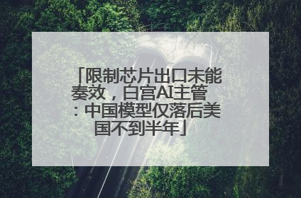 限制芯片出口未能奏效，白宫AI主管：中国模型仅落后美国不到半年