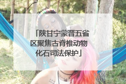 陕甘宁蒙晋五省区聚焦古脊椎动物化石司法保护
