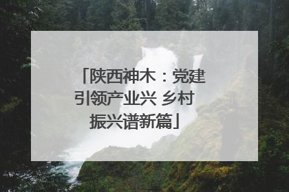 陕西神木：党建引领产业兴 乡村振兴谱新篇