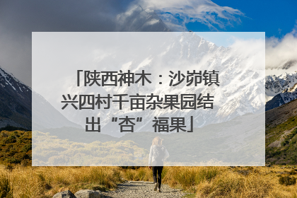 陕西神木：沙峁镇兴四村千亩杂果园结出“杏”福果