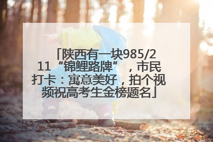 陕西有一块985/211“锦鲤路牌”，市民打卡：寓意美好，拍个视频祝高考生金榜题名