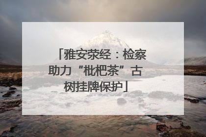 雅安荥经：检察助力“枇杷茶”古树挂牌保护