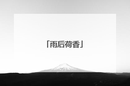 雨后荷香
