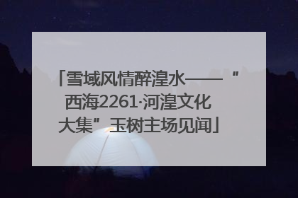 雪域风情醉湟水——“西海2261·河湟文化大集”玉树主场见闻