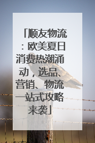 顺友物流：欧美夏日消费热潮涌动，选品、营销、物流一站式攻略来袭
