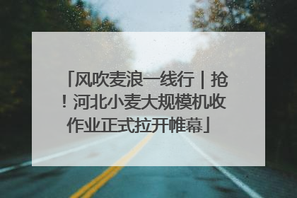 风吹麦浪一线行｜抢！河北小麦大规模机收作业正式拉开帷幕