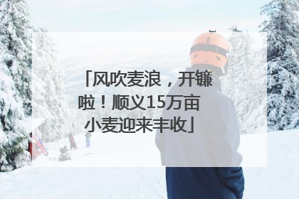 风吹麦浪，开镰啦！顺义15万亩小麦迎来丰收