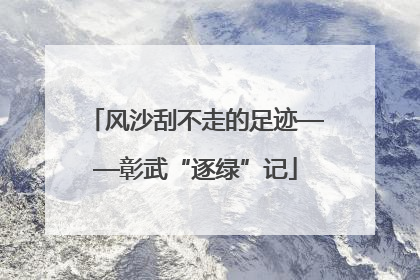 风沙刮不走的足迹——彰武“逐绿”记