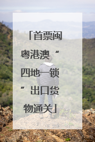 首票闽粤港澳“四地一锁”出口货物通关
