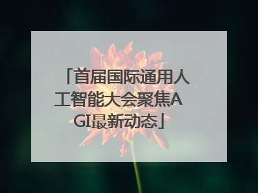 首届国际通用人工智能大会聚焦AGI最新动态