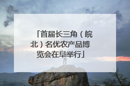 首届长三角（皖北）名优农产品博览会在阜举行