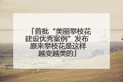 首批“美丽攀枝花建设优秀案例”发布 原来攀枝花是这样越变越美的