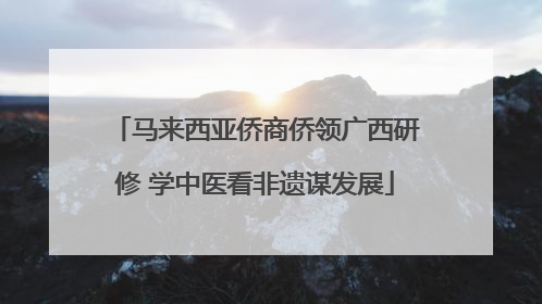 马来西亚侨商侨领广西研修 学中医看非遗谋发展