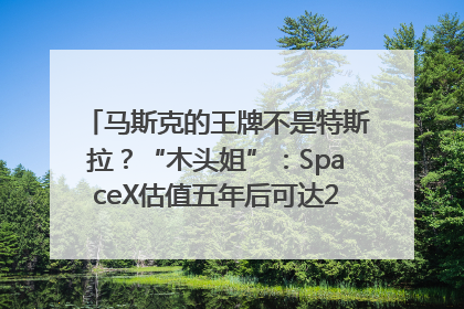 马斯克的王牌不是特斯拉？“木头姐”：SpaceX估值五年后可达2.5万亿美元！
