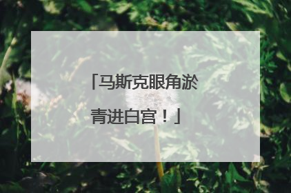 马斯克眼角淤青进白宫！
