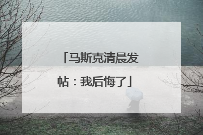 马斯克清晨发帖：我后悔了