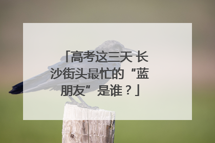 高考这三天 长沙街头最忙的“蓝朋友”是谁？