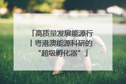 高质量发展能源行丨粤港澳能源科研的“超级孵化器”