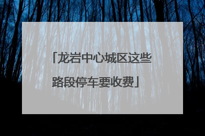龙岩中心城区这些路段停车要收费