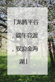 龙腾平谷，端午竞渡，驭浪金海湖