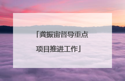 龚振宙督导重点项目推进工作