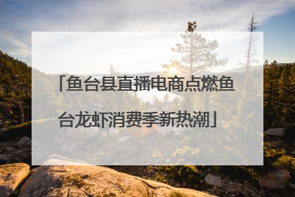 鱼台县直播电商点燃鱼台龙虾消费季新热潮