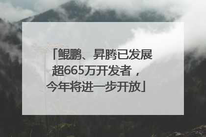鲲鹏、昇腾已发展超665万开发者，今年将进一步开放