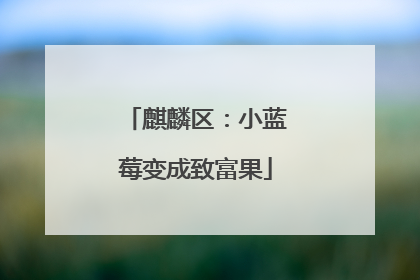 麒麟区：小蓝莓变成致富果