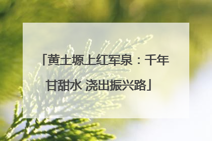 黄土塬上红军泉：千年甘甜水 浇出振兴路