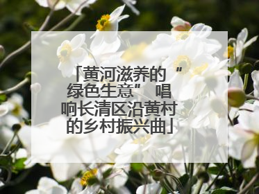 黄河滋养的“绿色生意” 唱响长清区沿黄村的乡村振兴曲